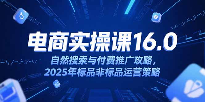淘宝电商运营课16.0，自然搜索与付费推广攻略，2025年标品非标品运营策略-huitchan网创