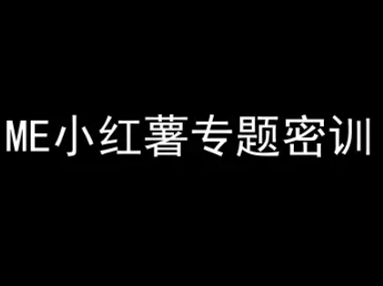 ME小红薯专题密训-小红书电商教程-huitchan网创