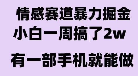情感暴力掘金项目，新人操作一周挣了2W，长期稳定小白可做【揭秘】-huitchan网创