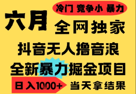 25年6月高爆抖音无人直播最新撸音浪掘金项目，小白可做，无脑日入1k+，门槛低可批量矩阵【揭秘】-huitchan网创