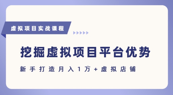 抓住虚拟项目各平台优势，新手轻松月入1W+(给出具体建议)-huitchan网创