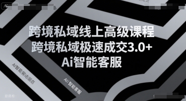 跨境私域线上高级课程，跨境私域极速成交3.0+Ai智能客服-huitchan网创