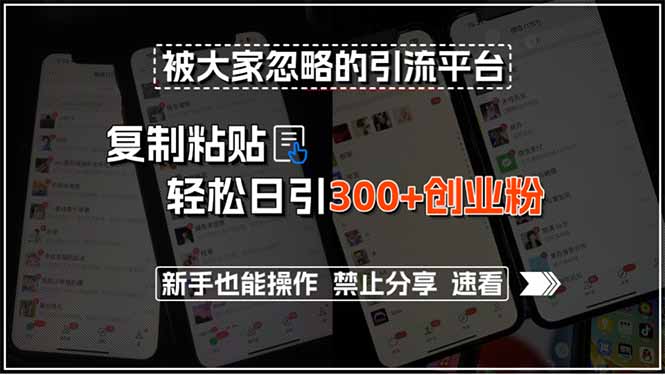 被大家忽略的引流平台，复制粘贴轻松日引300+创业粉，新手也能操作，禁...-huitchan网创