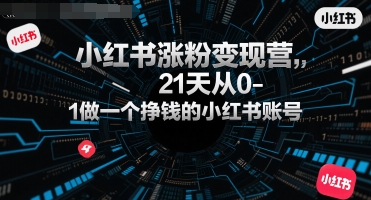 小红书涨粉变现营，21天从0-1做一个挣钱的小红书账号-huitchan网创