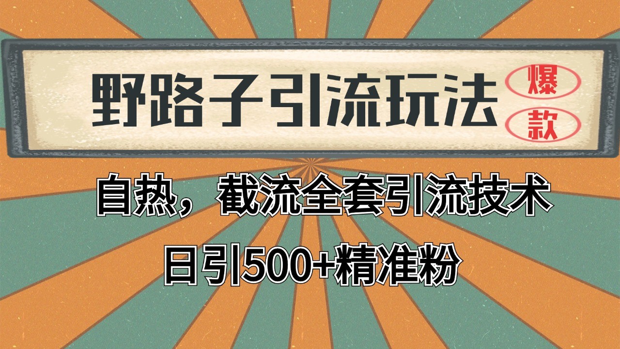 2024首发野路子引流玩法截流自热全平台打法，全自动引流【日引2000+精准客户】-huitchan网创