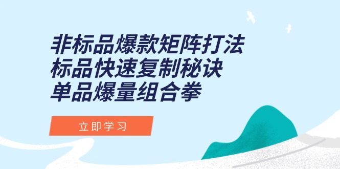 非标品爆款矩阵打法，标品快速复制秘诀，单品爆量组合拳-huitchan网创
