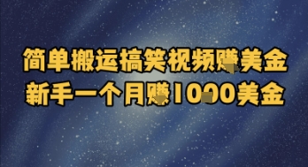 简单搬运搞笑视频挣美金，新手一个月入1k美金-huitchan网创