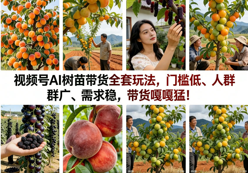 视频号AI树苗带货全套玩法，门槛低、人群广、需求稳，带货嘎嘎猛！(更新0426)-huitchan网创