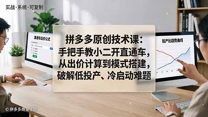 拼多多原创技术课：手把手教小二开直通车，从出价计算到模式搭建，破解低投产、冷启动难题-huitchan网创