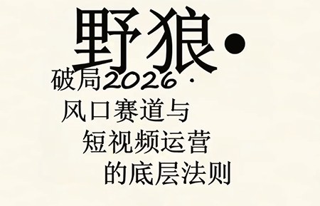 野狼团队·多平台实操运营课(更新4月)-huitchan网创