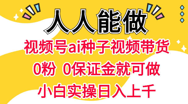 视频号AI种子带货，0粉0保证金就可做，人人能做，实操日入1k+-huitchan网创