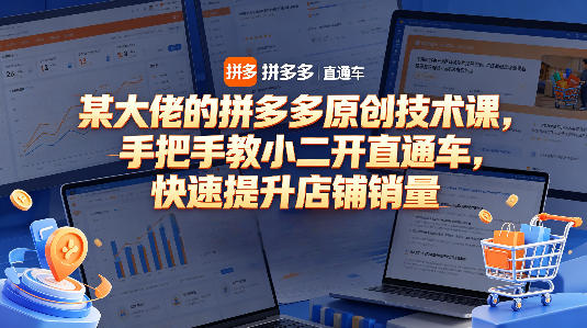 某大佬的拼多多原创技术课，手把手教小二开直通车，快速提升店铺销量-huitchan网创