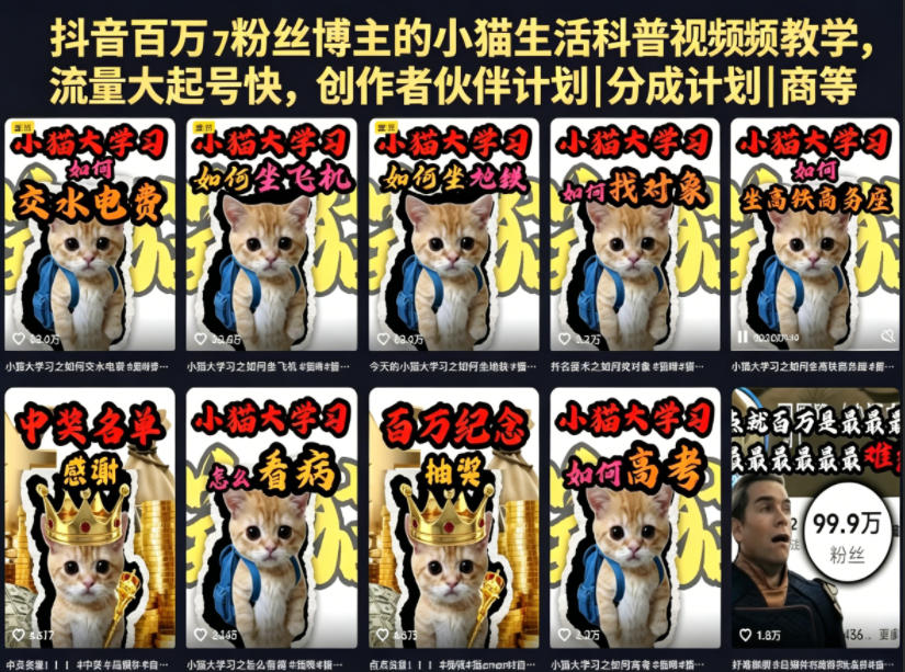 抖音百万粉丝博主的小猫生活科普视频教学，流量大起号快，创作者伙伴计划|分成计划|商单|收徒等-huitchan网创