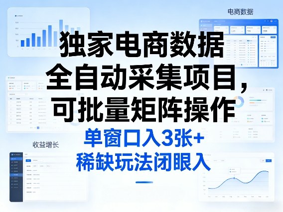 独家电商数据全自动采集项目，可批量矩阵操作，单窗口日入3张+，稀缺玩法闭眼入【揭秘】-huitchan网创