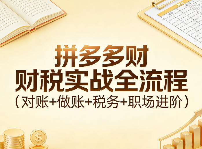 拼多多财税实战全流程(对账+做账+税务+职场进阶)-huitchan网创