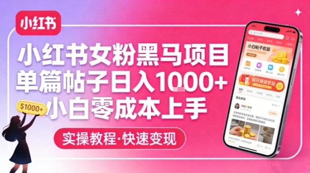 小红书女粉黑马项目，单篇帖子日入1k+，小白零成本上手-huitchan网创