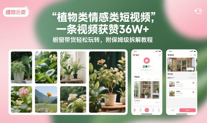 植物类情感类短视频，一条视频获赞36W+，橱窗带货轻松玩转，附保姆级拆解教程-huitchan网创