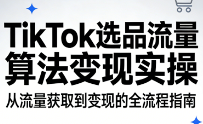 TikTok选品流量算法变现实操-huitchan网创