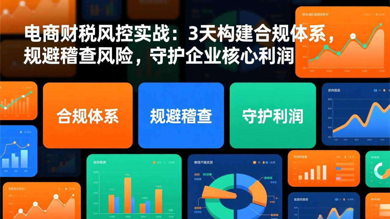 电商财税风控实战：3天构建合规体系，规避稽查风险，守护企业核心利润-huitchan网创