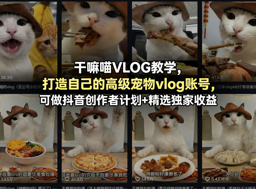 干嘛喵VLOG教学，打造自己的高级宠物vlog账号，可做抖音创作者计划+精选独家收益-huitchan网创
