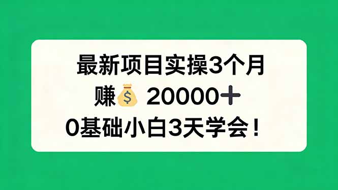 最新项目实操3个月，赚钱20000+，0基础小白3天学会！-huitchan网创