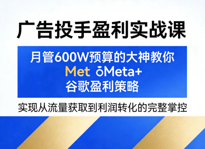 广告投手盈利实战课，月管600W预算的大神教你Meta+谷歌盈利策略，实现从流量获取到利润转化的完整掌控-huitchan网创