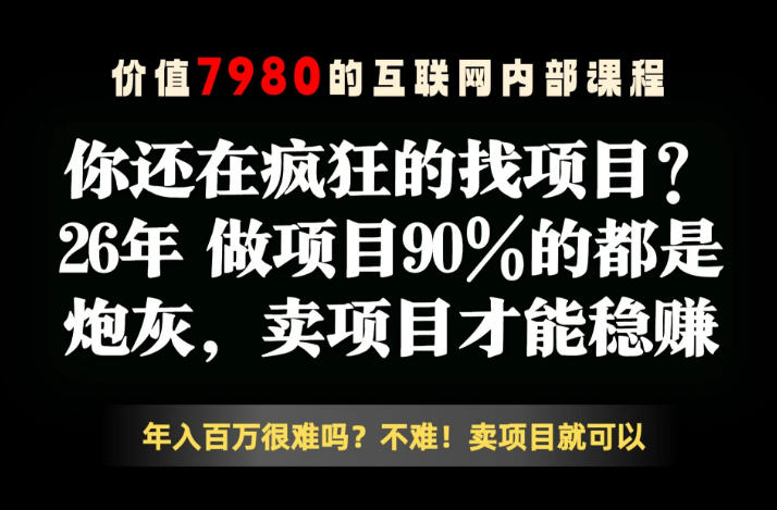 26年请不要疯狂的找项目了，卖项目远比你想象的暴利，你也可以月入10W+【揭秘】-huitchan网创