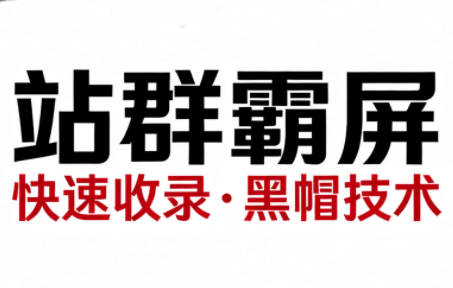 SEO野路子实战全集：快速收录、站群霸屏、黑帽技术-huitchan网创