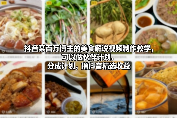 抖音某百万博主的美食解说视频制作教学，可以做伙伴计划，分成计划，撸抖音精选收益-huitchan网创