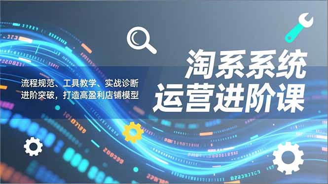 淘系系统运营进阶课2.0，流程规范、工具教学、实战诊断，进阶突破，打造高盈利店铺模型-huitchan网创