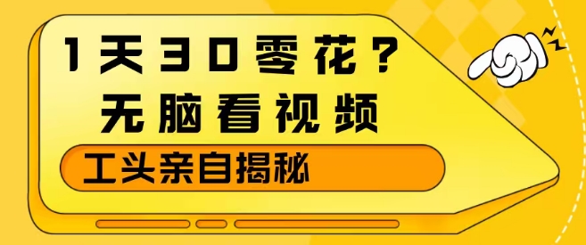 1天30零花？无脑看视频，大佬亲自揭秘-huitchan网创