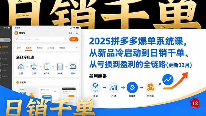 2025拼多多爆单系统课，从新品冷启动到日销千单、从亏损到盈利的全链路(更新12月-huitchan网创