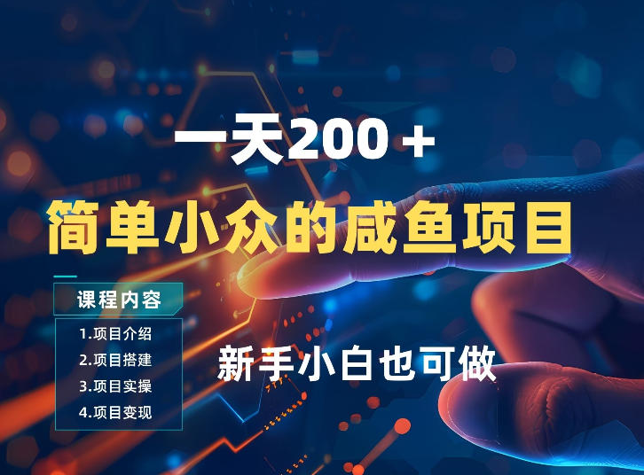 一天收入2张，一个简单小众的咸鱼项目，0门槛小白也能做-huitchan网创