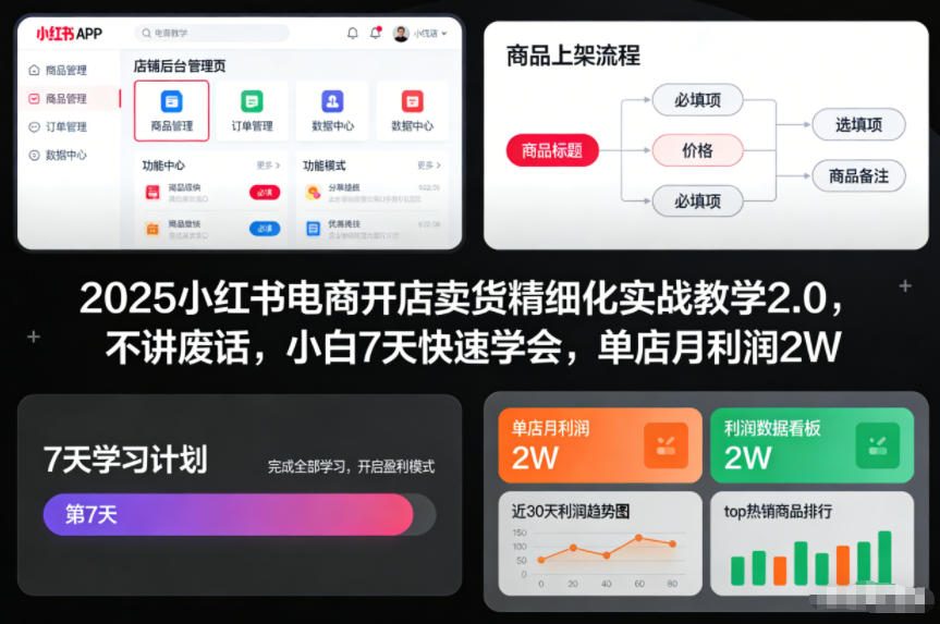 2025小红书电商开店卖货精细化实战教学2.0，不讲废话，小白7天快速学会，单店月利润2W-huitchan网创