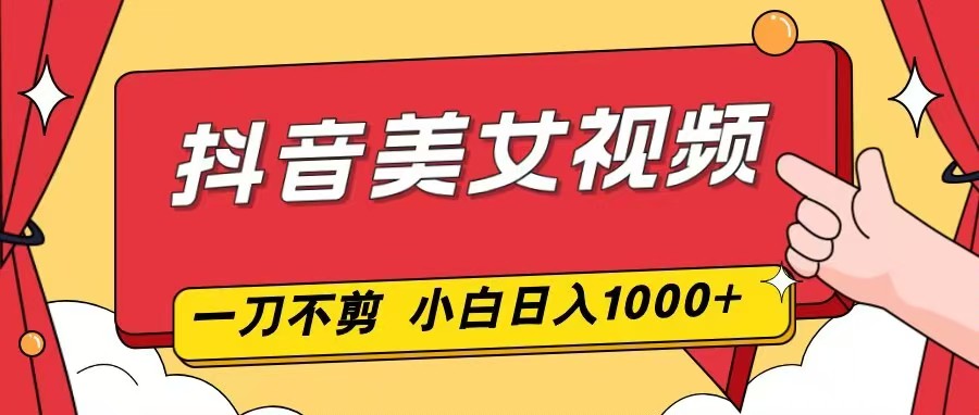 抖音美女视频，一刀不剪，两分钟一条视频，小白轻松上手，日入1000-huitchan网创