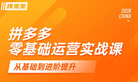 仙道电商·拼多多零基础运营实战课-huitchan网创