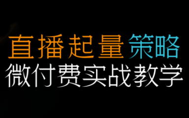 半野老师·直播带货起量与微付费必学课视频号-huitchan网创