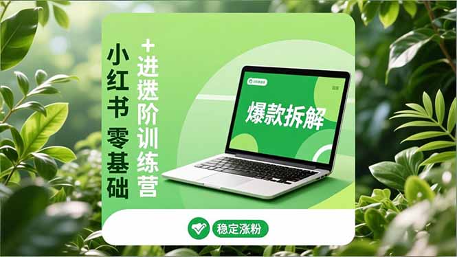 小红书零基础+高阶训练营：安全养号、爆款拆解、长效运营，实现稳定涨粉与变现-huitchan网创