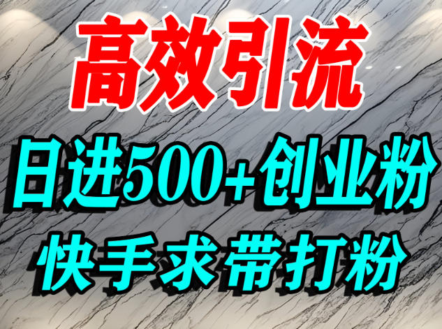 怎么打创业粉？快手求带视角精准引流创业粉，宝妈、学生群体日进500+精准流量-huitchan网创
