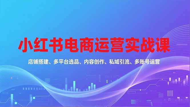 小红书电商运营实战课，店铺搭建、多平台选品、内容创作、私域引流、多账号运营等玩法-huitchan网创