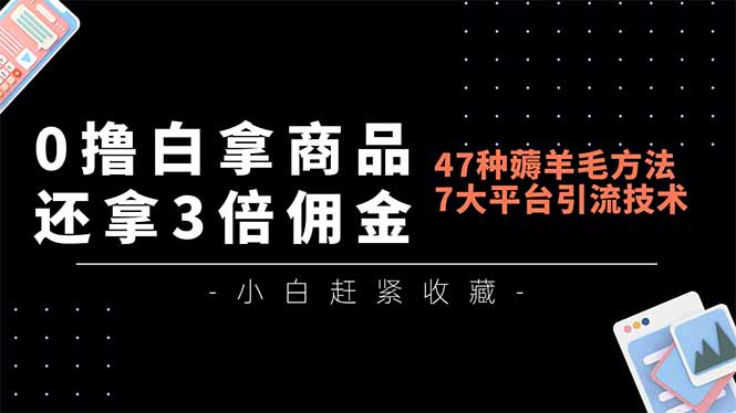0撸白拿商品，还拿3倍佣金，47种薅羊毛方法，7大平台全方位引流技术教学，精专月入过万-huitchan网创