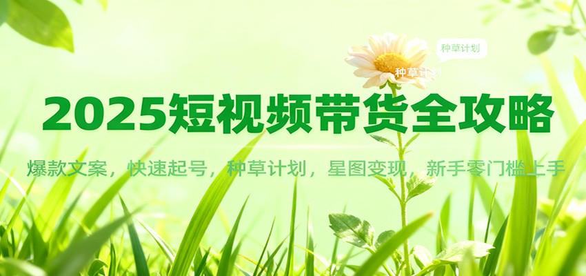 2025短视频带货全攻略：爆款文案，快速起号，种草计划，星图变现，新手零门槛上手-huitchan网创